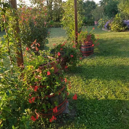 Apartment Szoloskert Cserszegtomaj