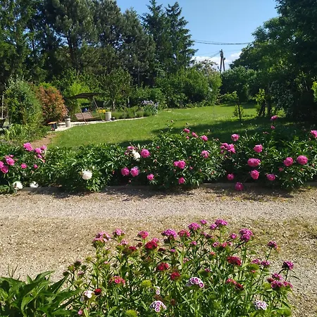 Apartman Szoloskert Cserszegtomaj