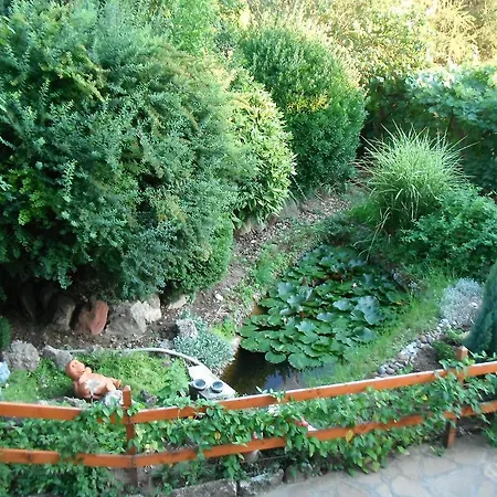 Szoloskert * Cserszegtomaj