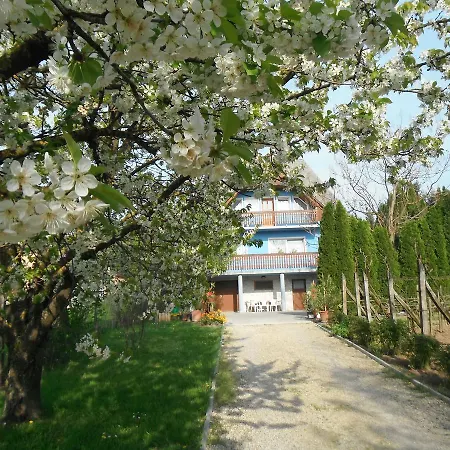 Szoloskert Apartment