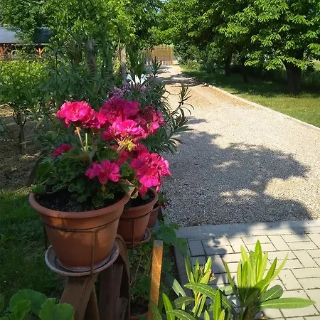 Szoloskert Apartment *