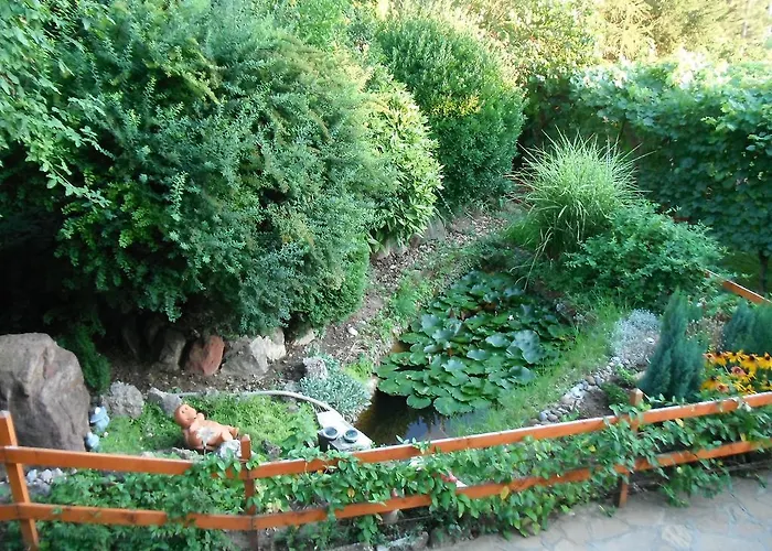 Szoloskert * צ'רסגטומאי