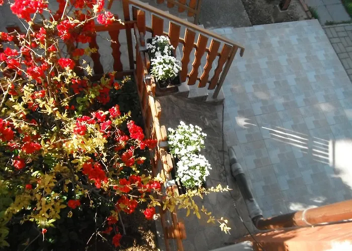 דירה Szoloskert *