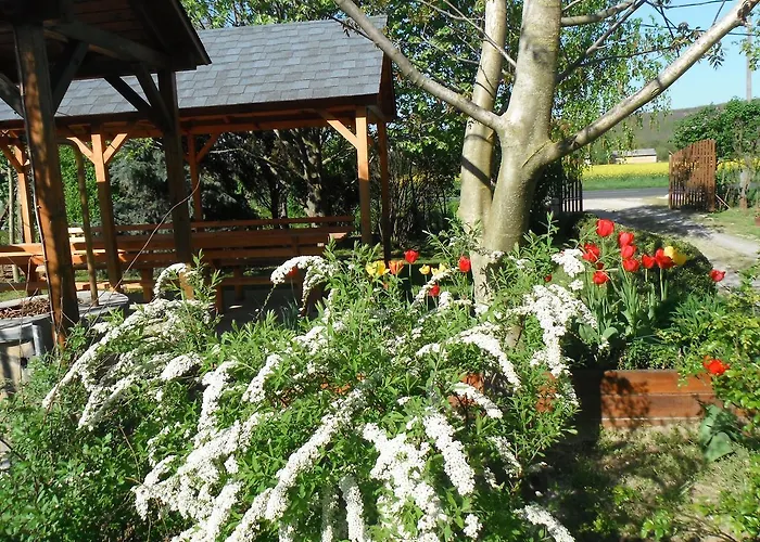 Szoloskert דירה צ'רסגטומאי